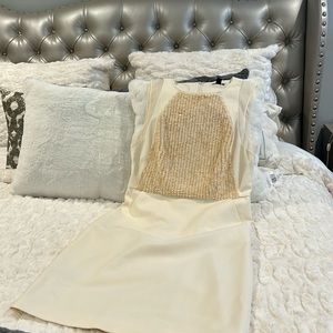 Special Occasion Ann Taylor Size 4 Fully Lined Worn Once